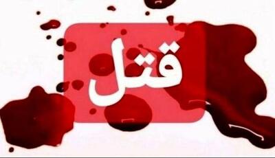 متهم به قتل داماد: به خاطر گریه‌های خواهرم، شوهرش را با چاقو کشتم