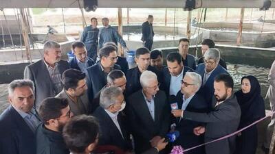بهره‌برداری فاز سوم بزرگترین پرورش ماهی آب‌چشمه شرق کشور در بجنورد