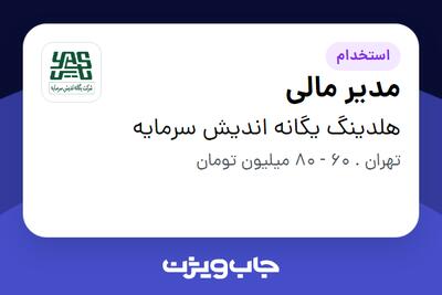 استخدام مدیر مالی در هلدینگ یگانه اندیش سرمایه