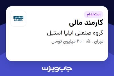 استخدام کارمند مالی در گروه صنعتی ایلیا استیل