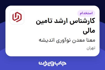 استخدام کارشناس ارشد تامین مالی در معنا معدن نوآوری اندیشه