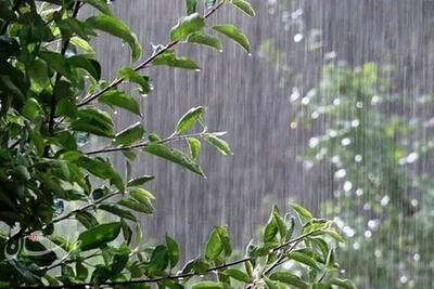 بارش‌های رگباری خراسان‌رضوی را فرا می‌گیرد
