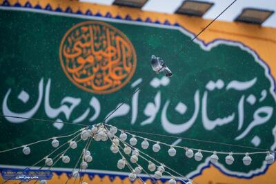 عکس | بارش باران بهاری در بهشت رضوی