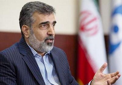 کمالوندی: اظهارات ترامپ بدون در نظر گرفتن واقعیت‌هاست - تسنیم