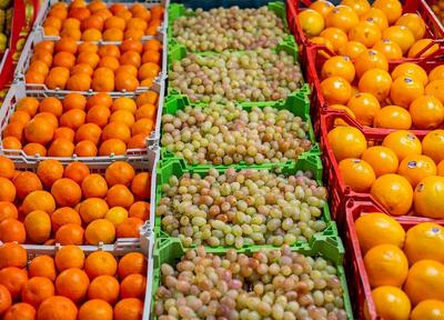 قیمت میوه و تره بار امروز ۱۷ اردیبهشت ۱۴۰۴ + جدول