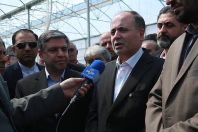 تشکل‌های کشاورزی باید به بازیگران اصلی زنجیره ارزش تبدیل شوند
