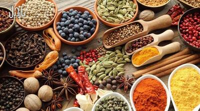 ادویه‌های جادویی برای مغز کدامند؟ | اقتصاد24