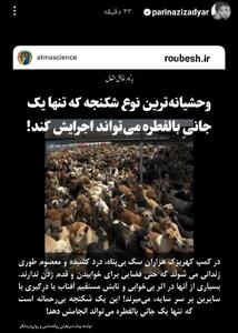 عکس/ اعتراض شدید پریناز ایزیار به یک اقدام بی‌رحمانه | اقتصاد24