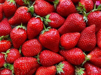 اکسیر جوانی در بشقاب توت شماست