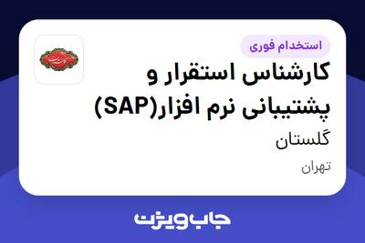 استخدام کارشناس استقرار و پشتیبانی نرم افزار(SAP) در گلستان
