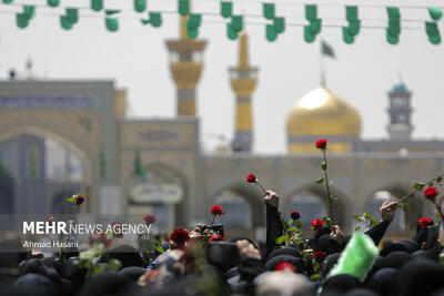 بزرگترین جشن خانوادگی امام رضایی‌ها در مشهد آغاز شد