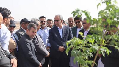 پارک جنگلی زاهدان به سامانه‌های آبیاری نوین مجهز شده است