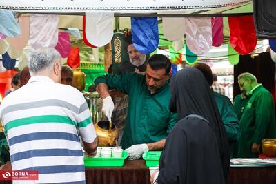 جشن بزرگ امام رضایی‌ها در تهران -۳