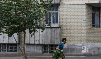 رگبار و وزش باد شدید در شمال غرب و مناطق مرکزی کشور