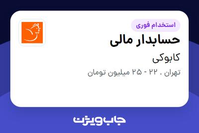 استخدام حسابدار مالی - آقا در کابوکی