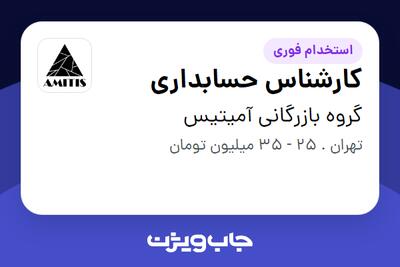 استخدام کارشناس حسابداری - خانم در گروه بازرگانی آمیتیس