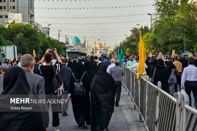 ماجرای «سلفی با امام رضا (ع)»