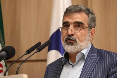 وزیر خارجه آمریکا بدون مطالعه حرف می‌زند؛ ایران تنها غنی‌ساز بدون سلاح نیست!