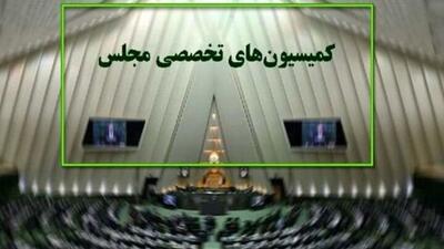 حضور ۷ وزیر در کمیسیون‌های مجلس برای پاسخ به سوالات نمایندگان