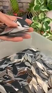 فیلم/  آینه‌ای به شکل پروانه؛ ترکیب هنر و زیبایی در طراحی خلاقانه
