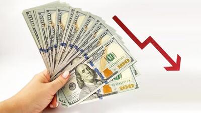 سقوط بزرگ قیمت دلار امروز ۲۰ اردیبهشت/ پالس مثبت به بازار ارز رسید