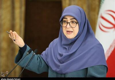 دولت به دنبال گره گشایی در سرمایه گذاری تولید است - تسنیم