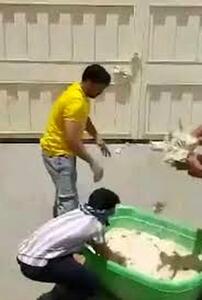 نانواهای کرمانی، خمیرها را به درِ اداره برق کوبیدند!
