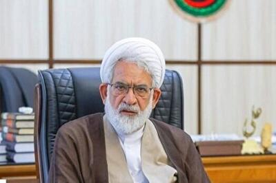 سال گذشته ۱۸ رأی وحدت رویه صادر شد/ باید برای اختلاف در آرا فکری کنیم