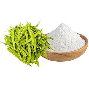 صمغ گوار یا گوارگام چیست؟