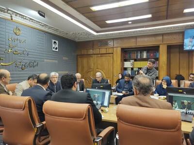 معاون استاندار: طرح حمل بونکری آرد در خبازی‌های کردستان اجرا شود