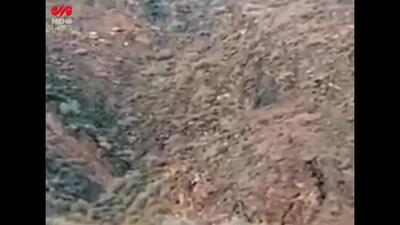 مشاهده ۲ قلاده یوزپلنگ در شاهرود