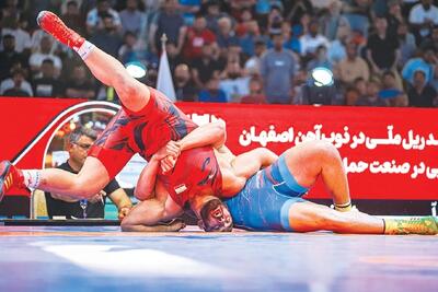معصومی: امیدوارم راحت بخوابند!