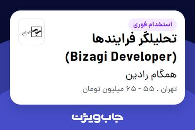 استخدام تحلیلگر فرایندها (Bizagi Developer) در همگام رادین