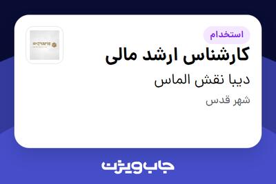 استخدام کارشناس ارشد مالی - خانم در دیبا نقش الماس
