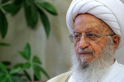 آیت الله مکارم: حوزه و مراجع هیچ‌گاه کمک دولتی را نمی‌پذیرند