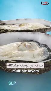 طرز تشکیل مروارید در دریا + فیلم