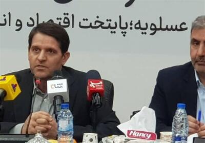 9 میلیون مترمکعب گازهای مشعل امسال خوراک پتروشیمی می شود - تسنیم