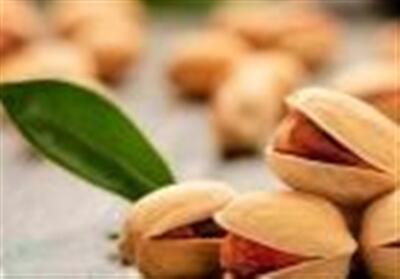 پسته ایران با استانداردهای جدید اتحادیه اروپا تطبیق می‌شود - تسنیم