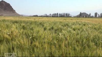 شیرینی پس از دشواری + فیلم