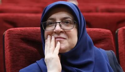 مهاجرانی: در حال آماده‌سازی مقدمات سفر رئیس‌جمهور روسیه به ایران هستیم