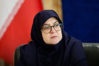 سخنگوی دولت: هیچ وقت مشکلی با سرمایه‌ گذاری آمریکا نداشته‌ ایم