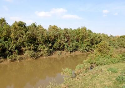 صدور سند ۶۰ هزار مترمربع بستر رودخانه گرگانرود در گنبدکاووس