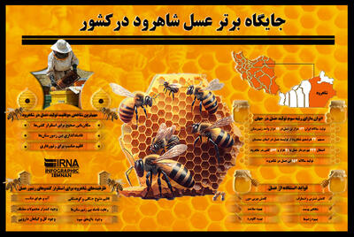 اینفوگرافیک | جایگاه برتر عسل شاهرود در کشور