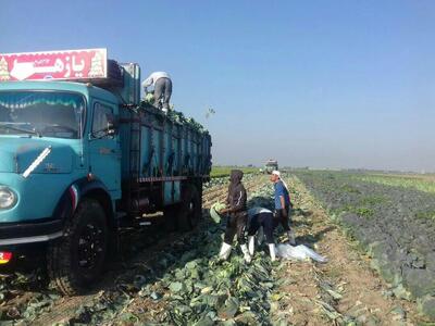 کامیون کاهو در قم، حامل پارچه میلیاردی از آب درآمد