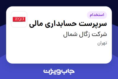 استخدام سرپرست حسابداری مالی در شرکت زگال شمال