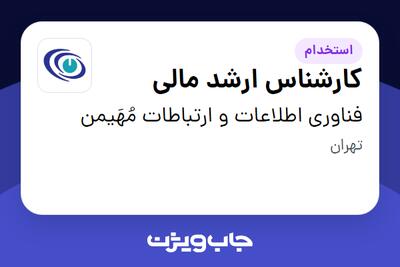 استخدام کارشناس ارشد مالی در فناوری اطلاعات و ارتباطات مُهَیمن
