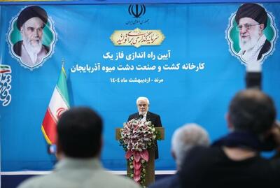 ببینید | عارف: هنوز آن‌گونه که می‌خواهیم نمی‌توانیم پاسخگوی معیشت مردم باشیم