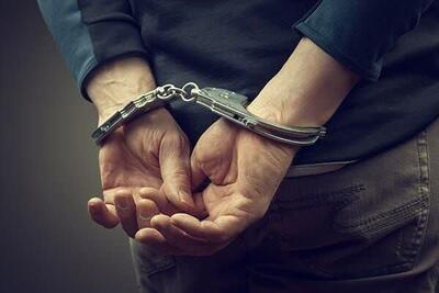 ۲ سارق نیروگاه خورشیدی در دامغان دستگیر شدند