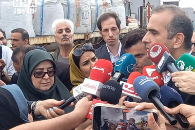 مهاجرانی: در حال فراهم کردن مقدمات سفر پوتین به تهران هستیم+فیلم