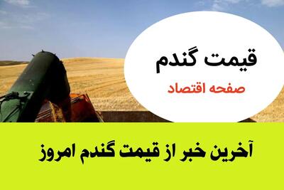 اعلام قیمت جدید گندم و تأخیر در پرداخت مطالبات گندمکاران | قیمت تضمینی و زمان مناسب برداشت گندم | هشدار فوری به گندمکاران